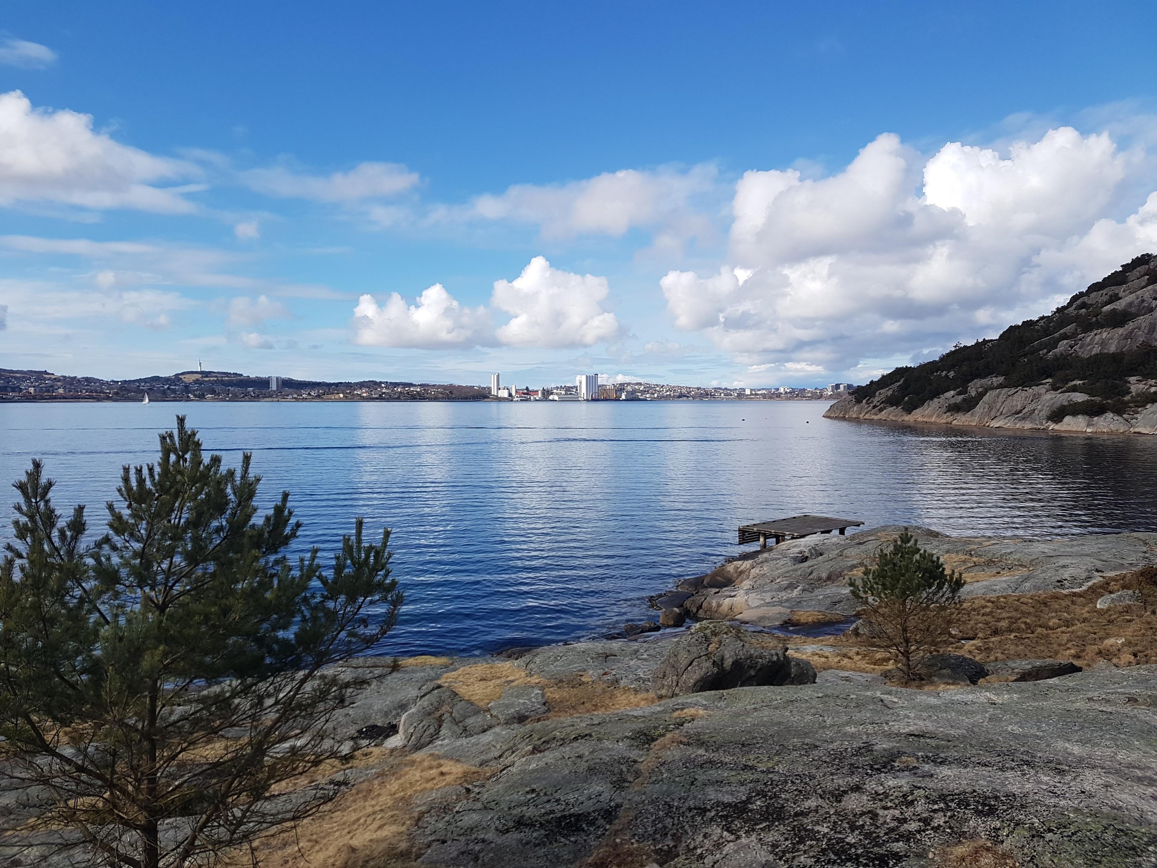 Bymarka ytterst i Gandsfjorden