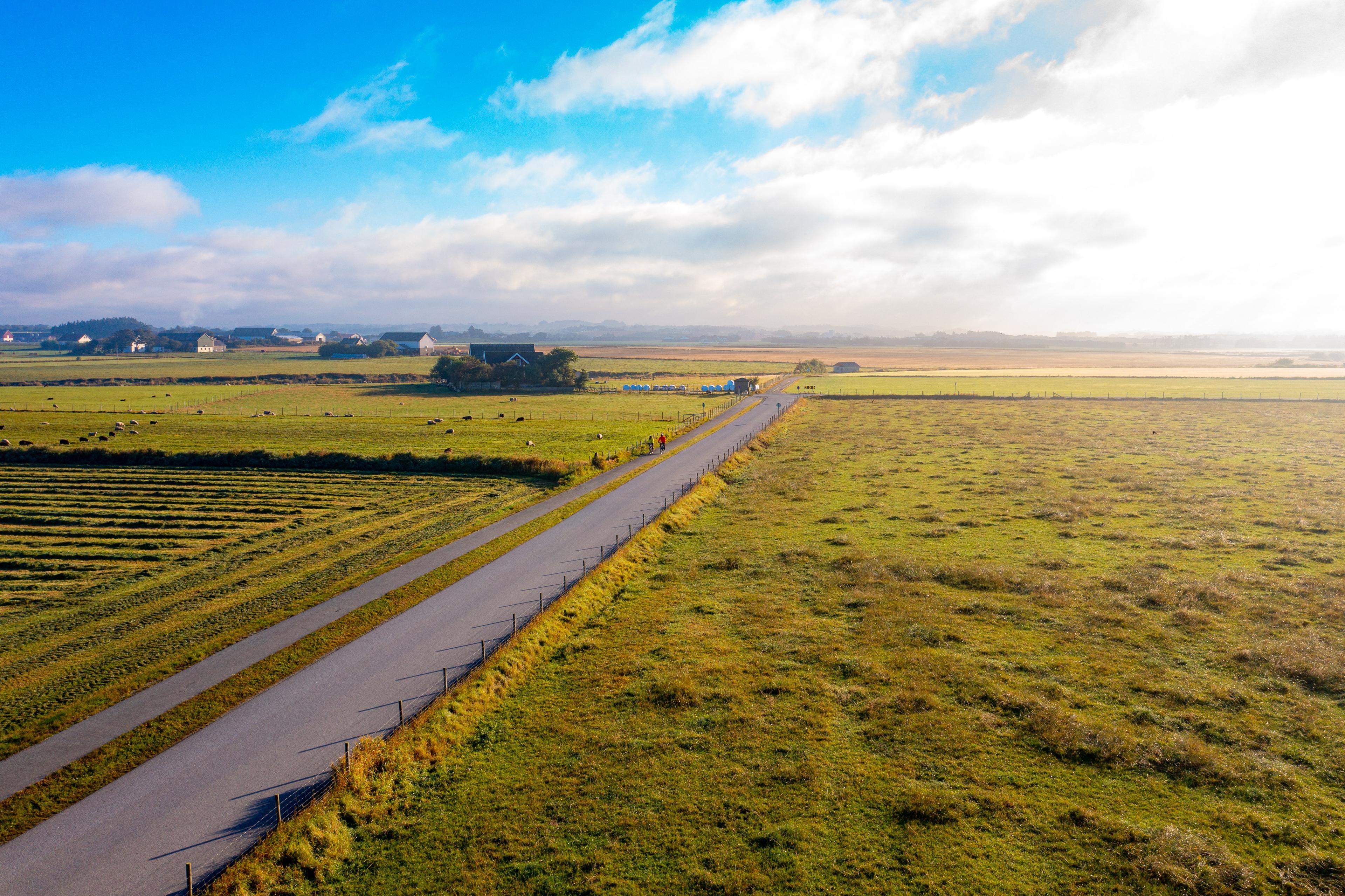 En vei på flate Jæren. Grønne marker med jordbruksområde og blå himmel.